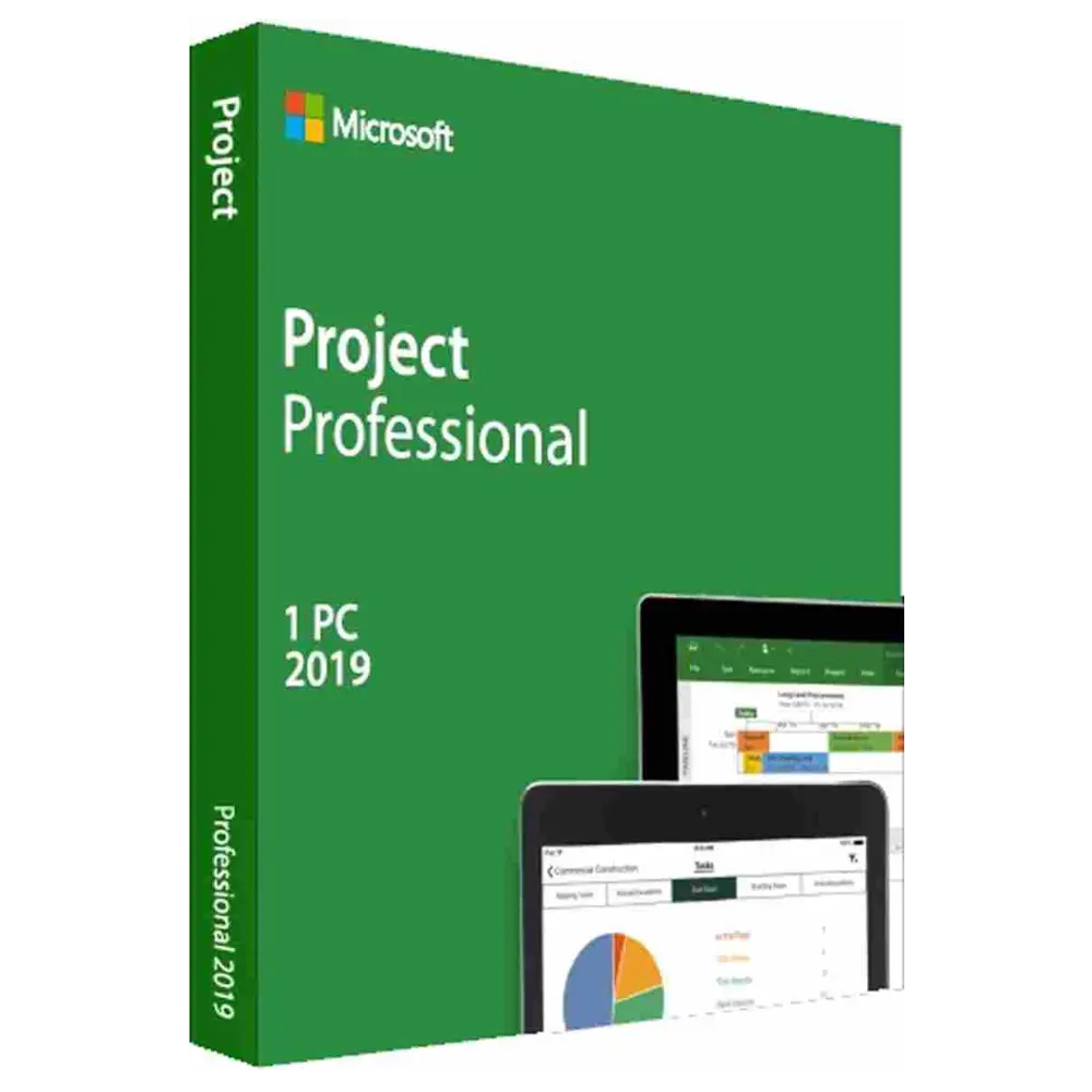 MS Project Professional 2019 (PC)